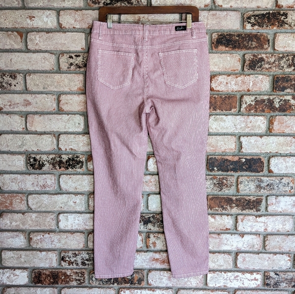 🍬 Red & White Striped Skinny Ankle Jeans by Earl Jeans Size 12 / 31 - Picture 8 of 12